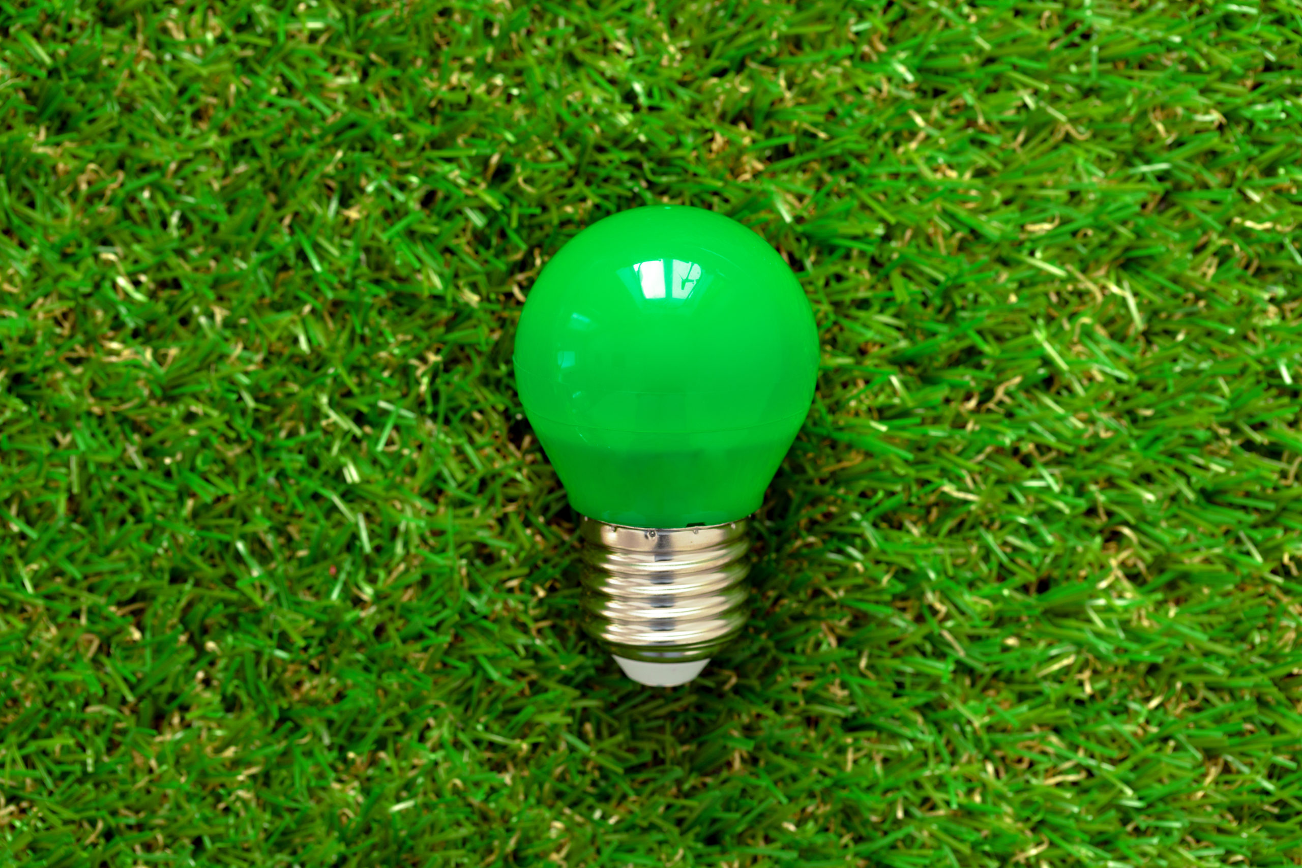 Green lightbulb on green grass to represent energy efficiency