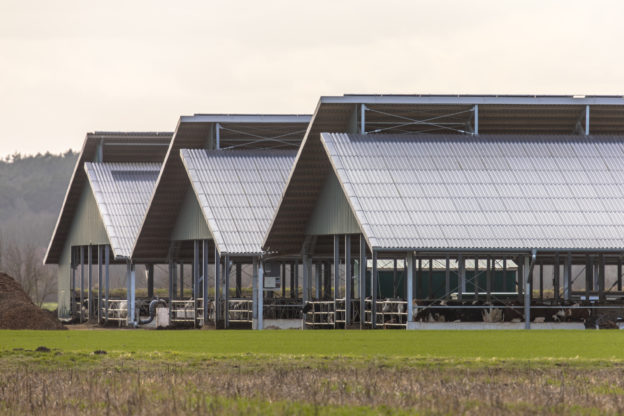 Eco friendly farm buildings